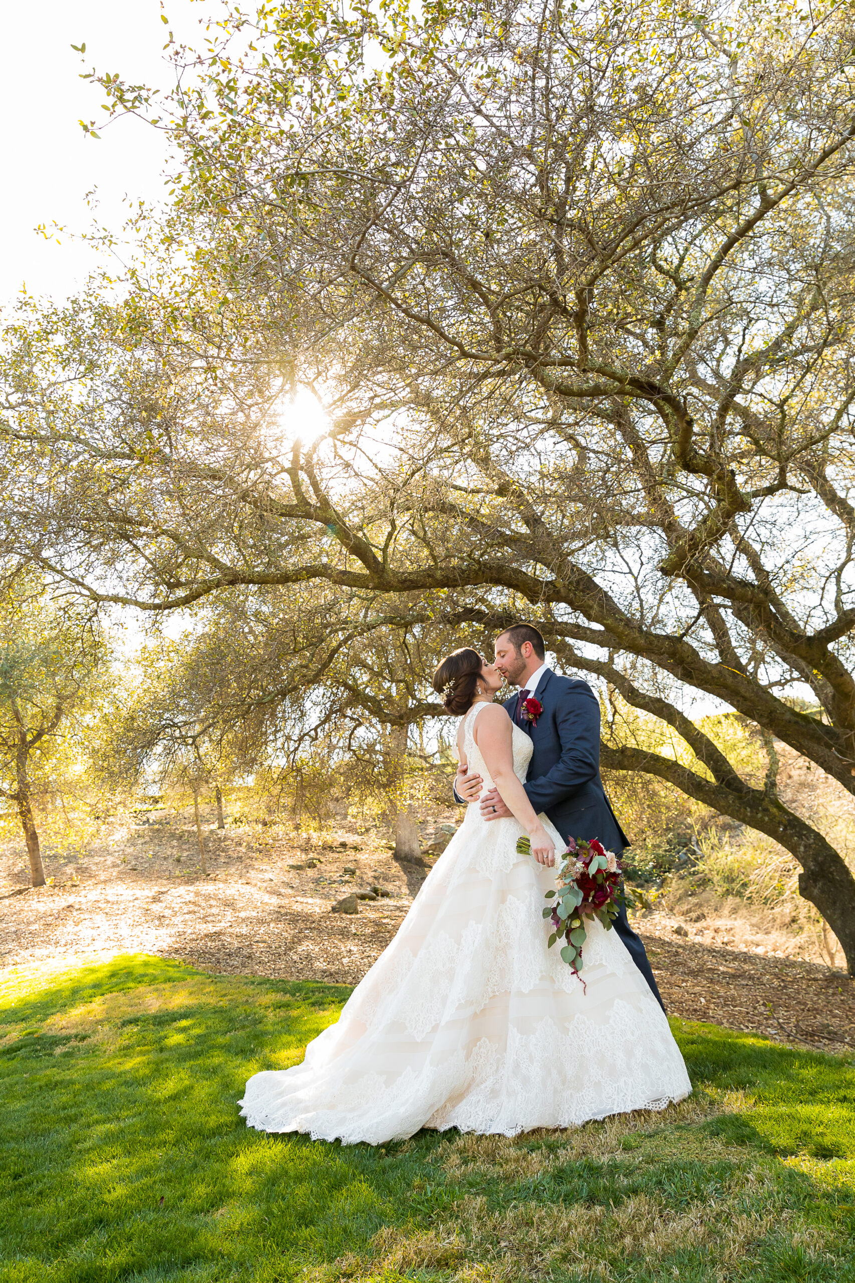 bride and groom kissing under tree at Catta Verdera Country Club, professional wedding photography lincoln ca