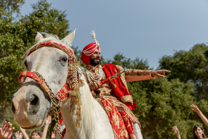 Indian groom riding a horse during lively baraat procession arriving at Gurdwara Sahib West Sacramento