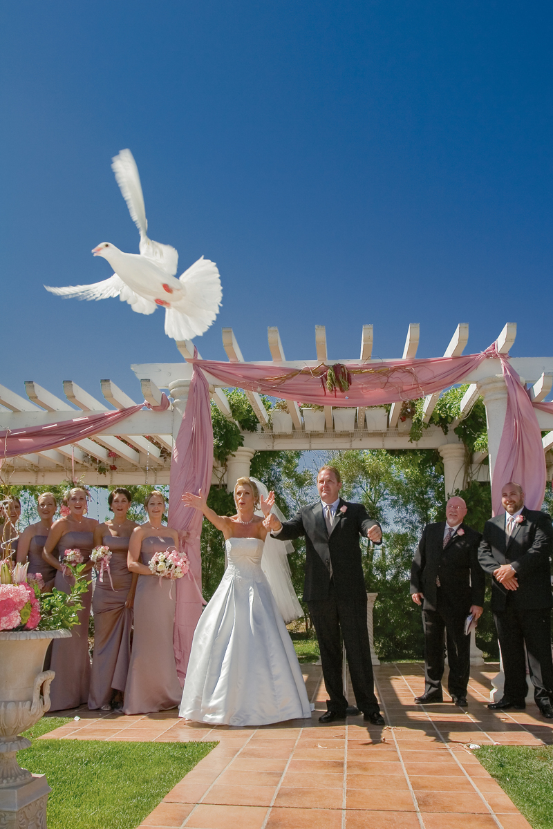 bride and groom releasing white doves during their wedding ceremony at Merryvale Vineyards in Napa Valley, California