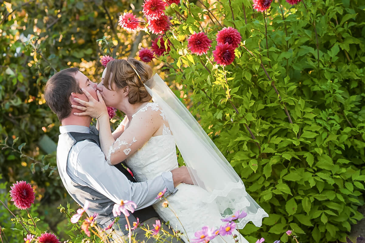 Bride and groom kissing in the flower fields at Loomis Flower Farm
